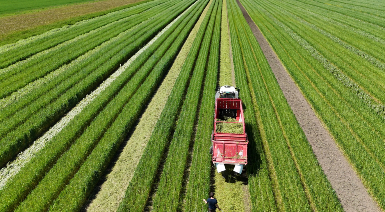 Ladewagen fährt auf fixer Fahrspur im Controlled Traffic Farming