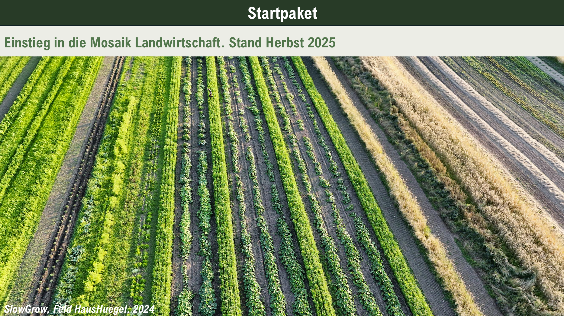Vorschau Startpaket