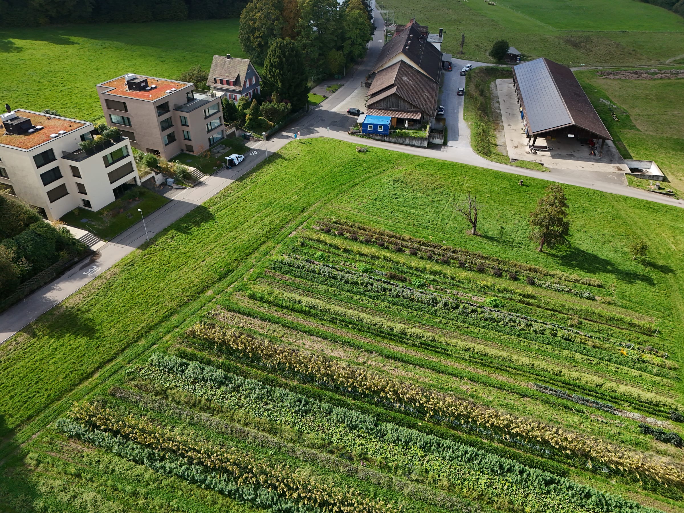 Bilder Felder am Adlisberg