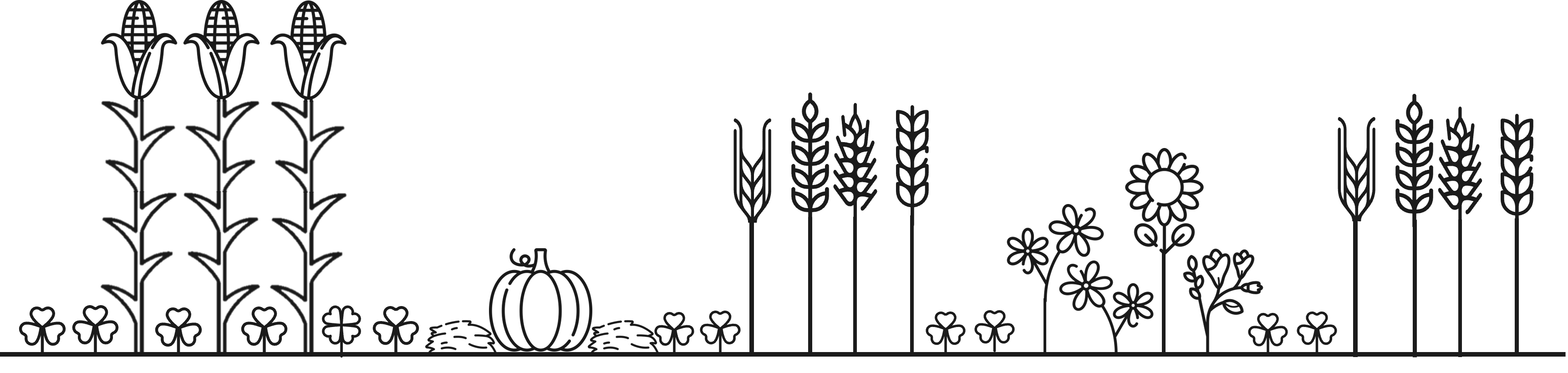 Querschnitt Feld mit Biodiversität im Streifenanbau — interaktive Grafik