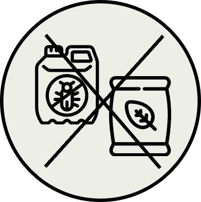 Icon Verzicht auf Dünger und Pestizide