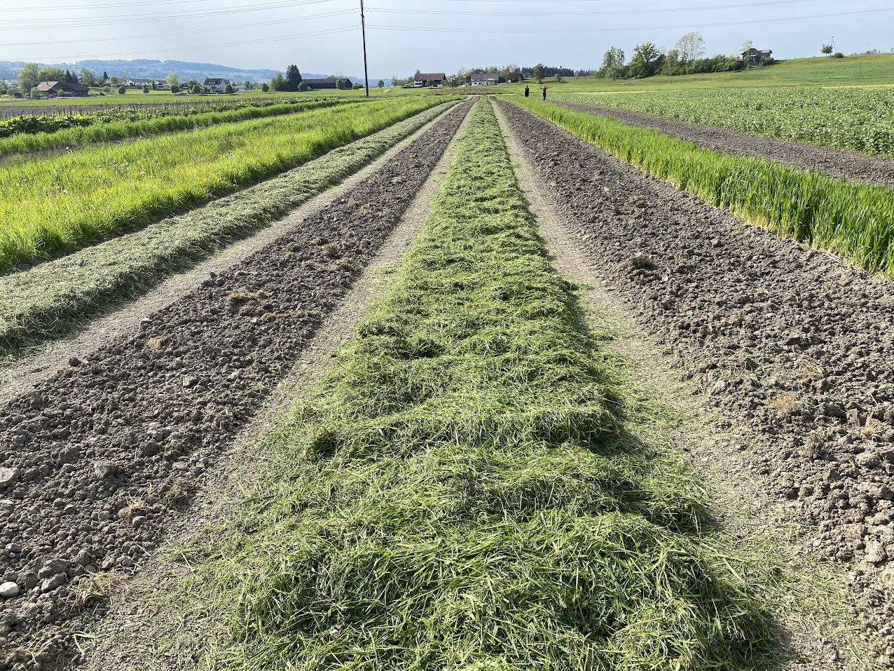 Feldrundgang bei SlowGrow und HofLabor